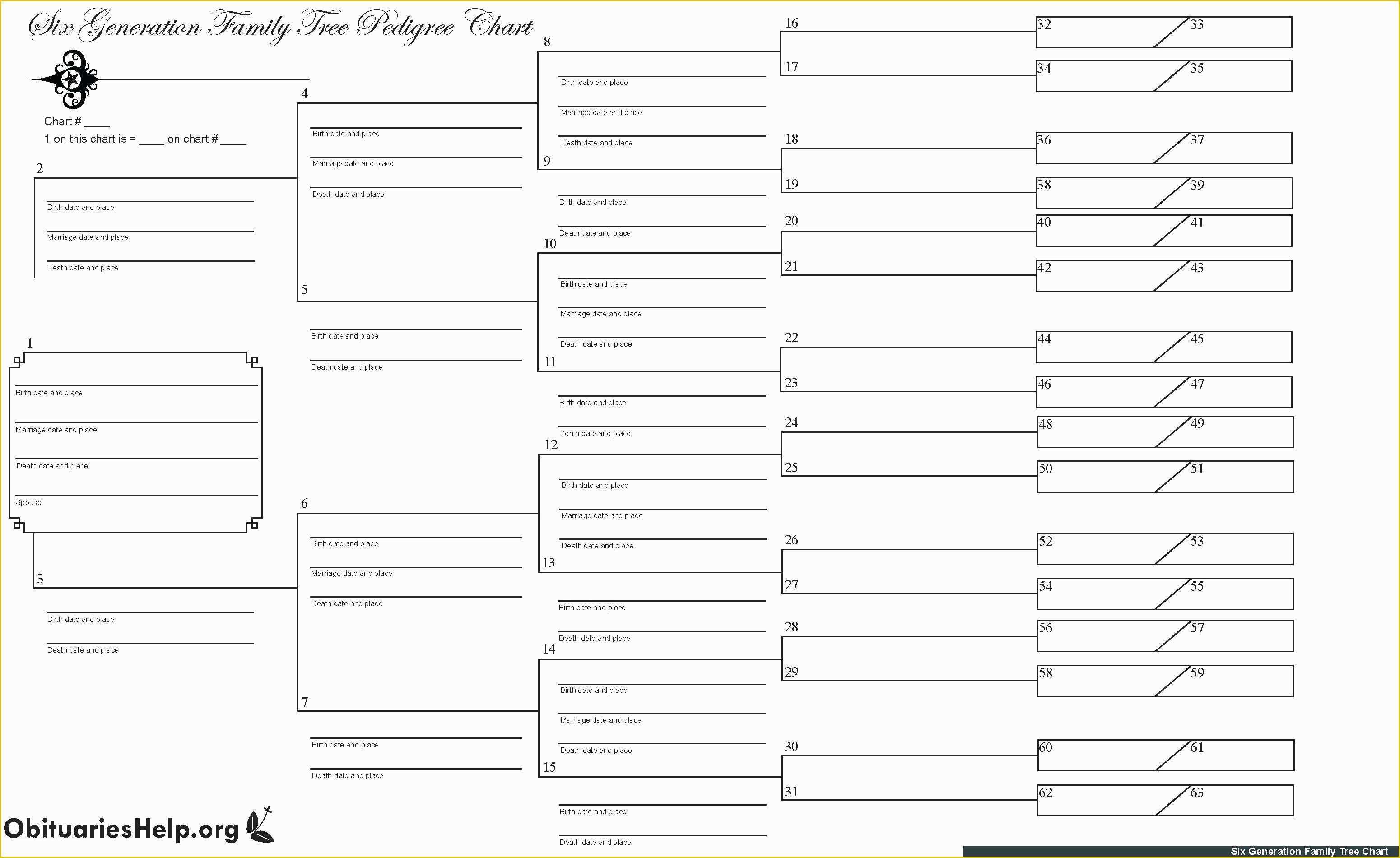 Free Rabbit Pedigree Template Of Blank Family Tree Templates 6 Generation Word