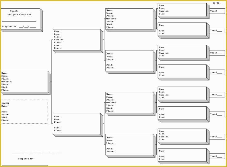 Printable Blank Rabbit Pedigree Template - Printable Templates