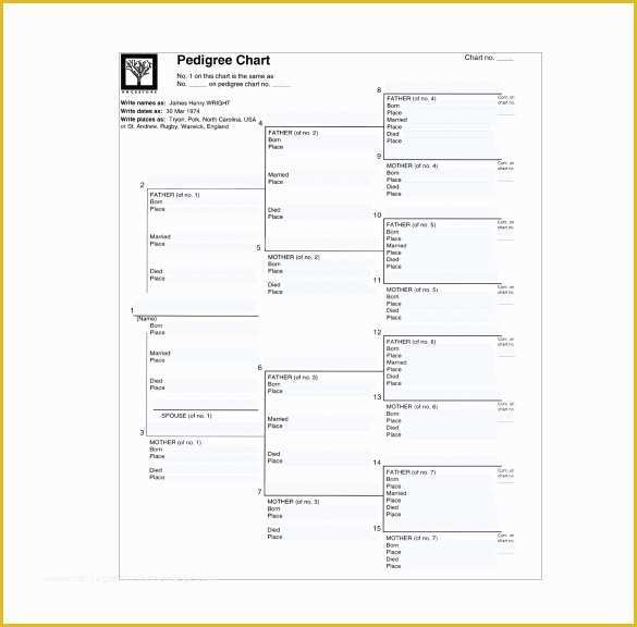 Free Rabbit Pedigree Template Of Dog Pedigree Chart Template Free 10 Pedigree Chart