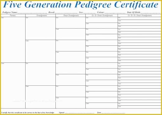 Free Rabbit Pedigree Template Of Dog Pedigree Template Invitation Template