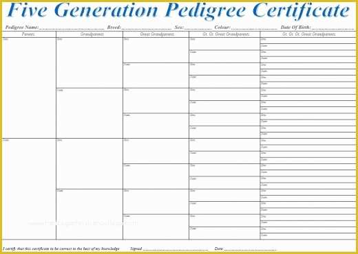 Free Rabbit Pedigree Template Of Dog Pedigree Template Invitation Template