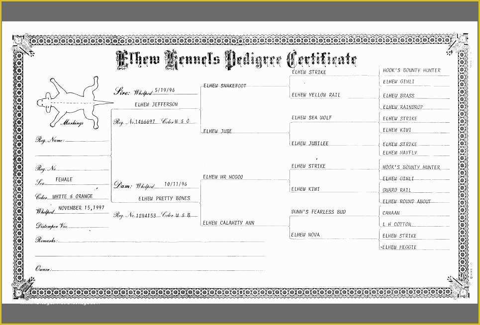 printable blank dog pedigree forms