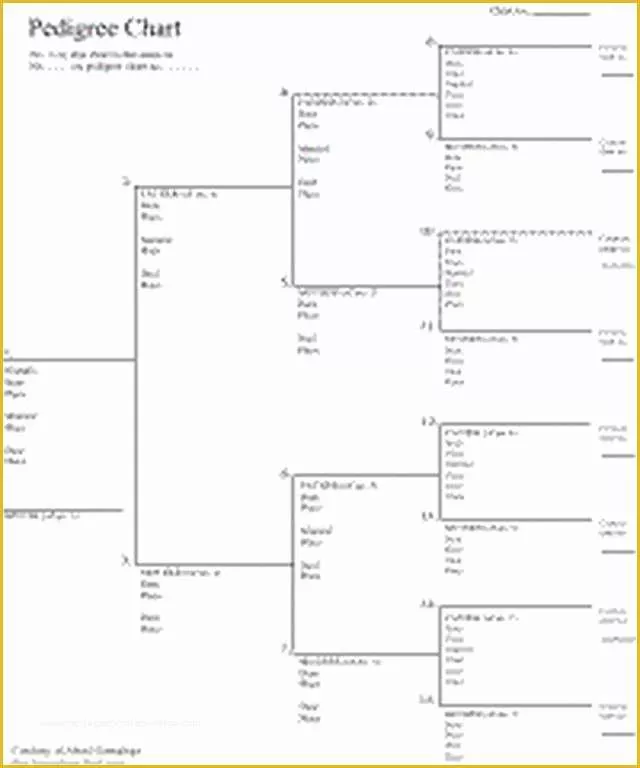 Free Rabbit Pedigree Template Of Free Family Tree Charts