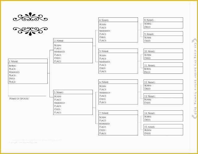 Free Rabbit Pedigree Template