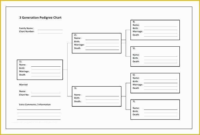 Free Rabbit Pedigree Template Of Genealogy Pedigree Chart Template 5 Generation Dog