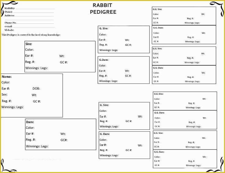 Free Rabbit Pedigree Template Of How Do I Fill Out A Rabbit Pedigree Rabbitpedia