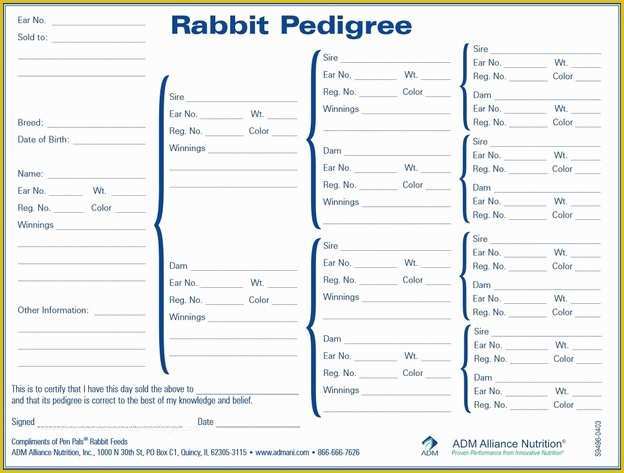 Free Rabbit Pedigree Template Of Index Of Cdn 9 2012 87