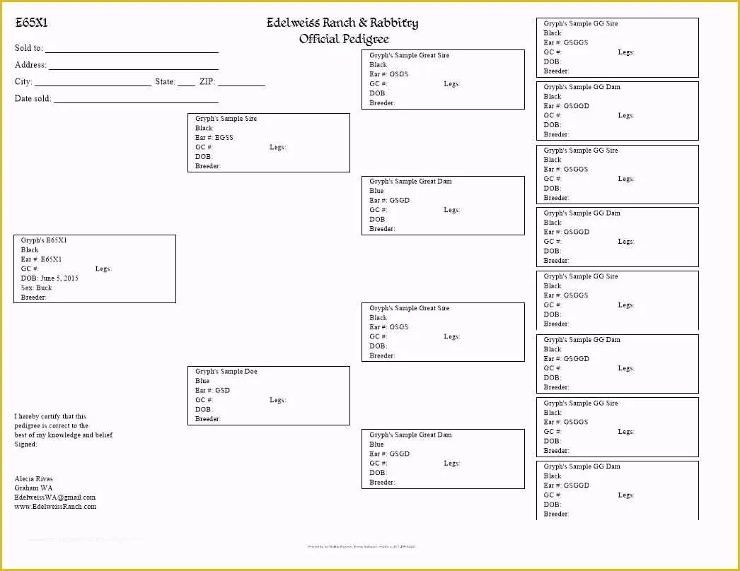 Rabbit Pedigree Template