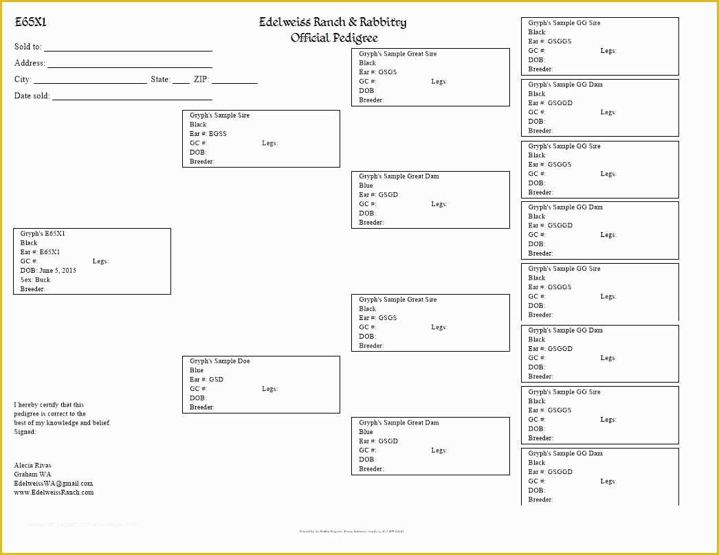 Free Printable Rabbit Pedigree Template Printable Templates