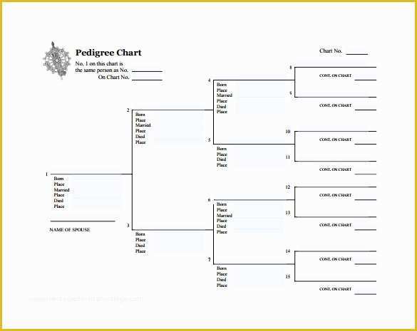 Free Rabbit Pedigree Template Of Pedigree Chart Template – 9 Free Sample Example format