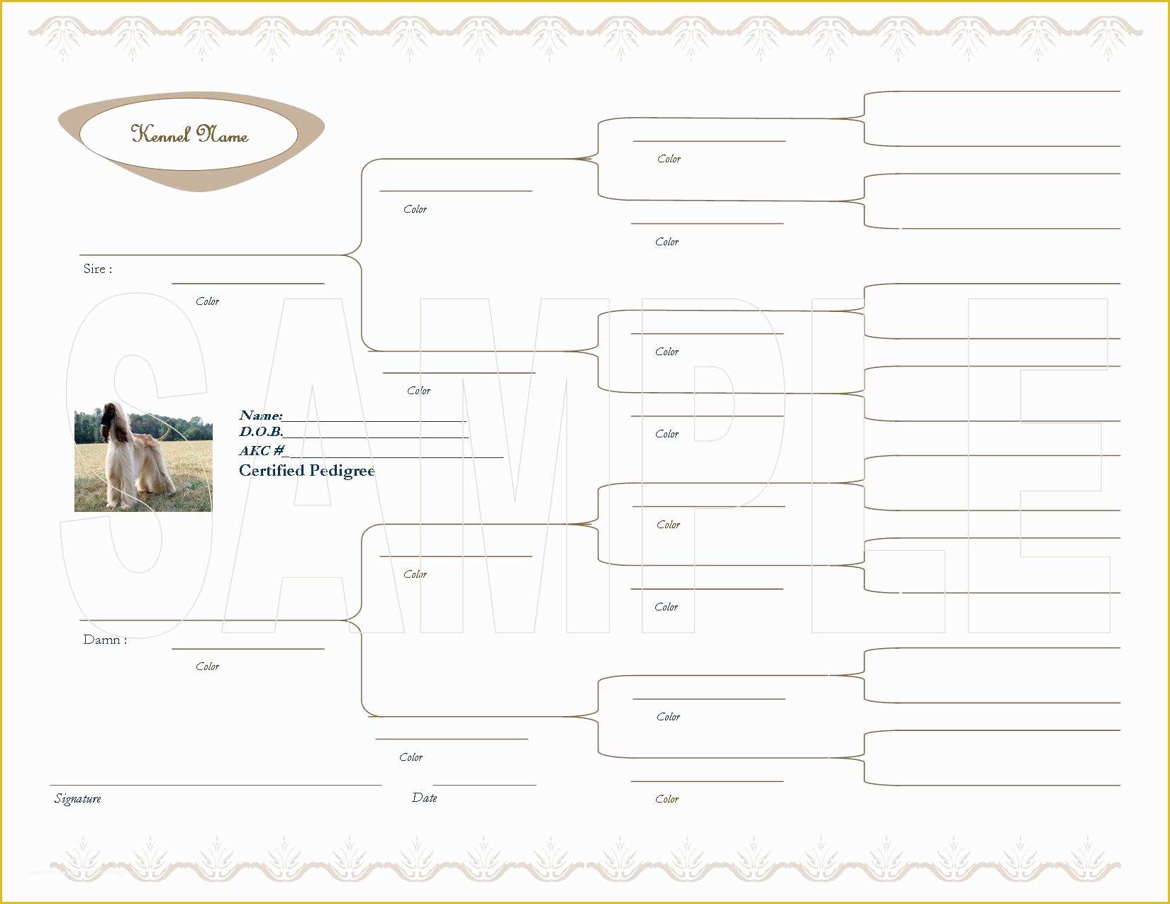 Free Rabbit Pedigree Template Of Pedigree Papers Templates Cake Ideas and Designs