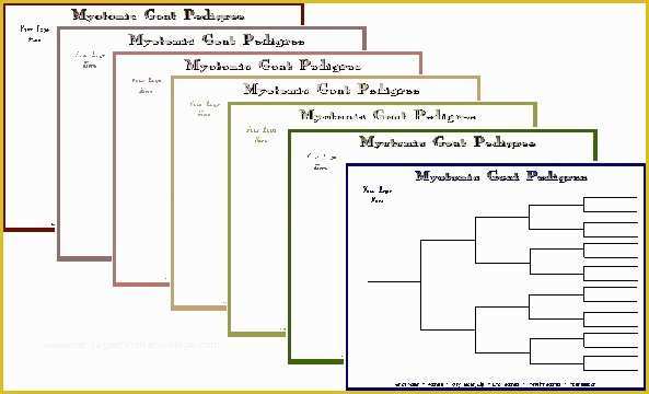 Free Rabbit Pedigree Template