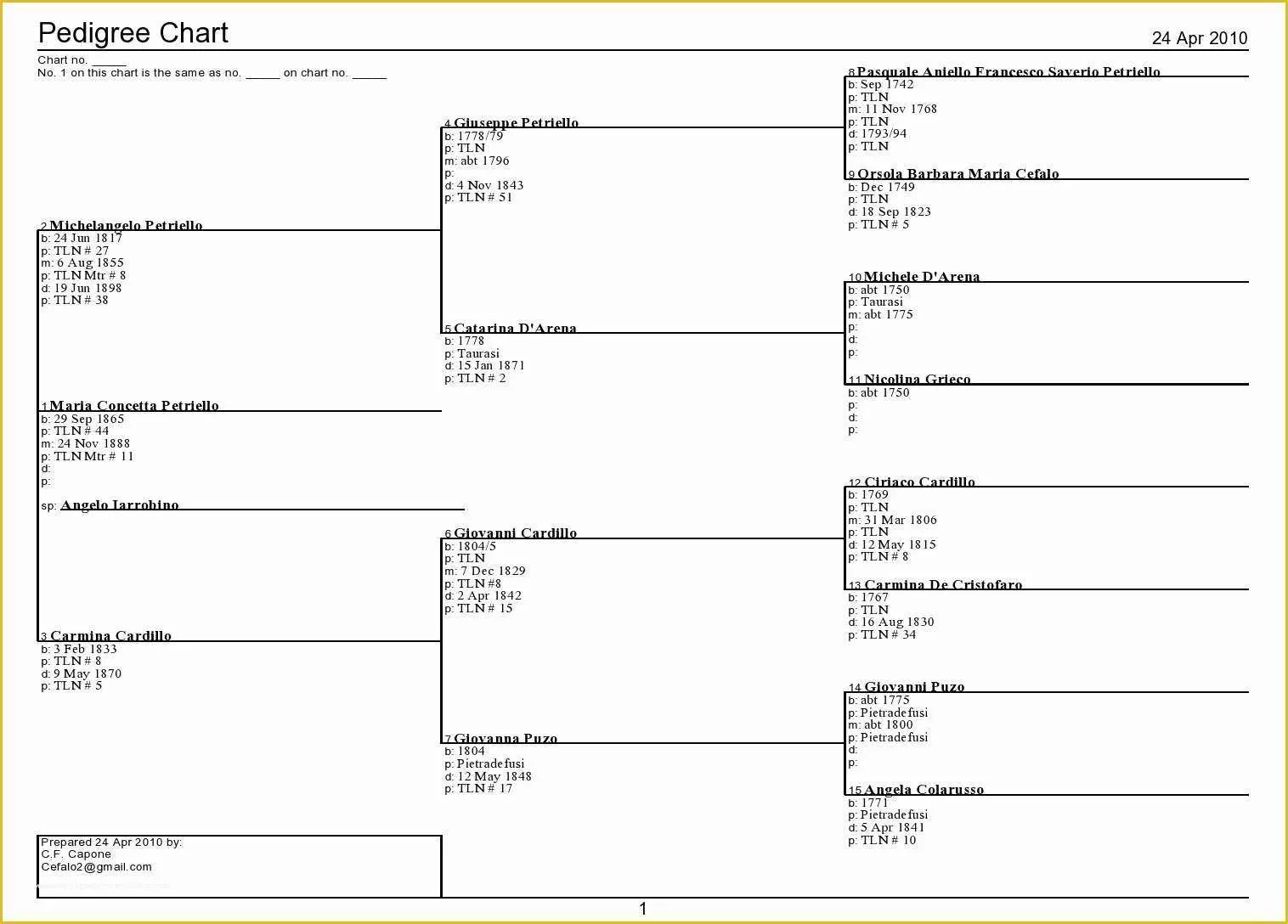 Free Rabbit Pedigree Template Of Printable Pedigree Chart