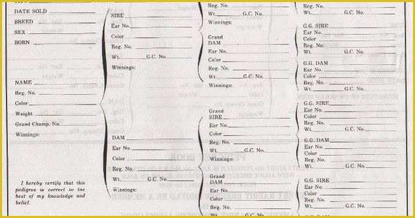 Free Rabbit Pedigree Template Of Printable Rabbit Pedigree forms