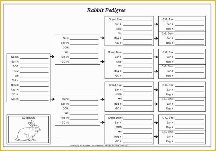 Free Rabbit Pedigree Template Of Rabbit Generations Chart Pedigree Rabbit