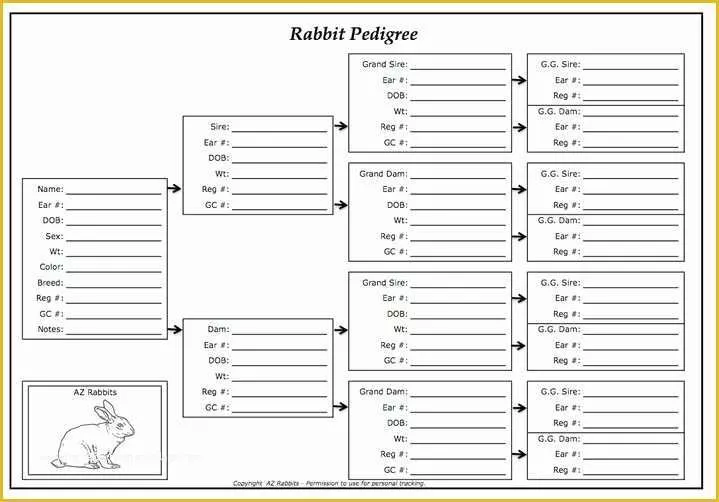 Printable Rabbit Pedigree Template