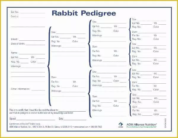 Rabbit Pedigree Template