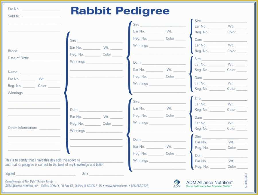 Free Rabbit Pedigree Template Of Rabbit Pedigree Chart tool for Making
