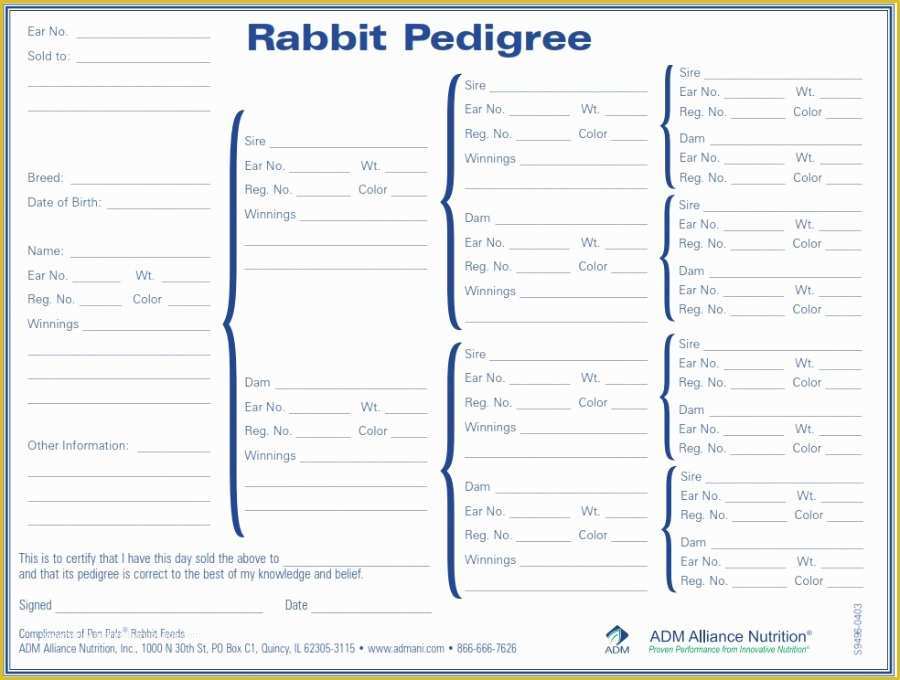 free-rabbit-pedigree-template-of-rabbit-pedigree-chart-tool-for-making