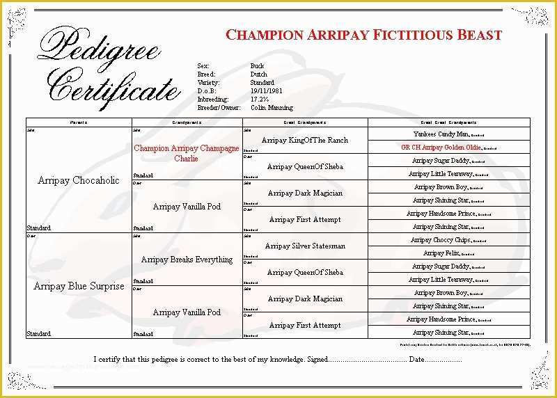 free-printable-rabbit-pedigree-printable-templates