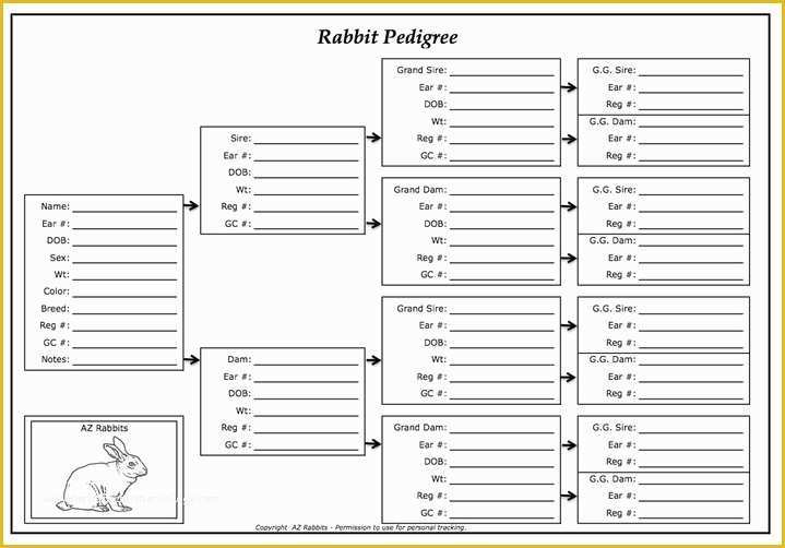 Free Rabbit Pedigree Template Of Rabbit Pedigree Template Invitation Template