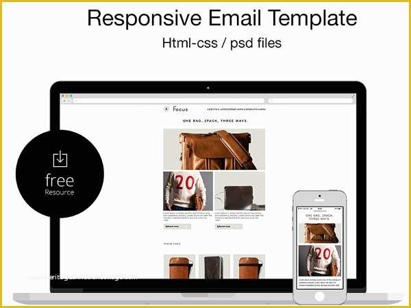 Free Responsive Email Templates Of top 15 Amazing Business Newsletter Templates to Download