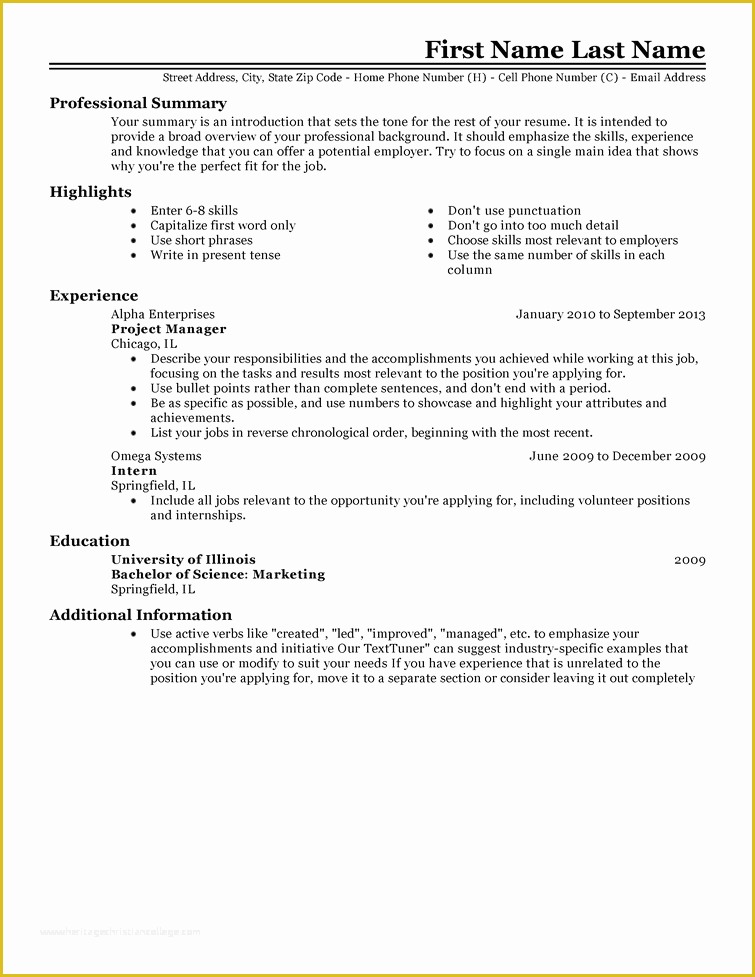Free Resume format Template Of Free Professional Resume Templates