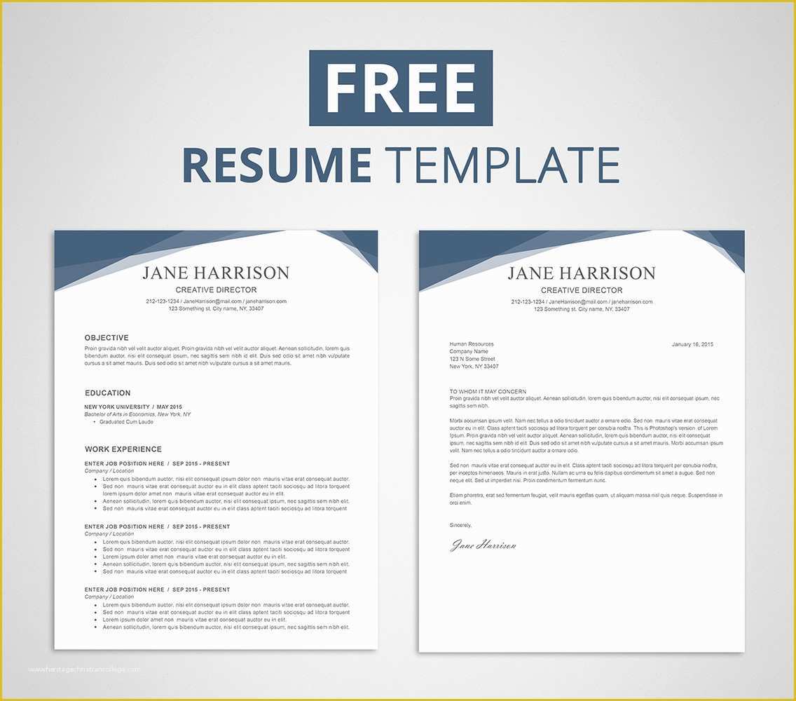 Free Resume Templates Word Of Free Resume Template for Word & Shop Graphicadi