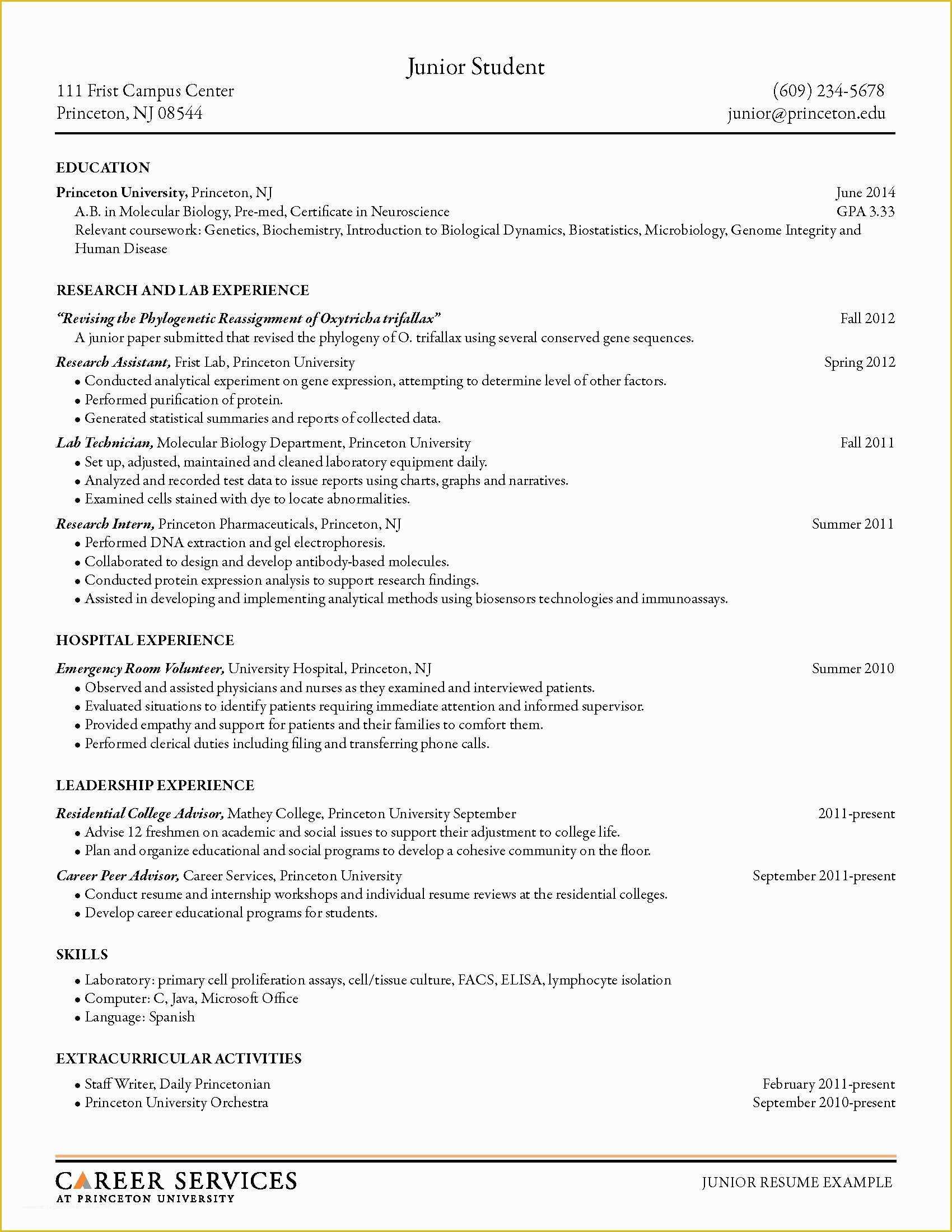 Free Sample Resume Templates Of 16 Free Resume Templates Excel Pdf formats