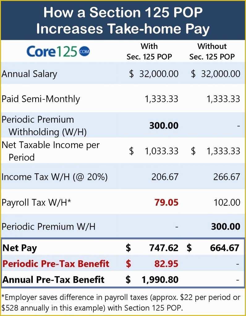 Free Section 125 Plan Document Template Of Section 125 Plan