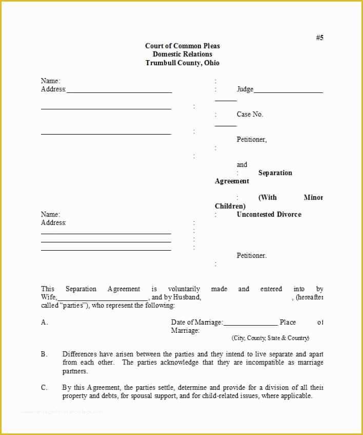 Free Separation Agreement Template Of 43 Ficial Separation Agreement Templates Letters