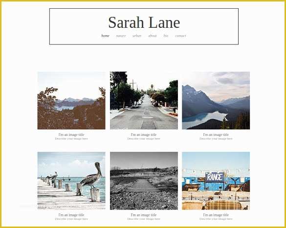 Free Simple Website Templates Of 38 Free & Premium Graphy Website themes & Templates