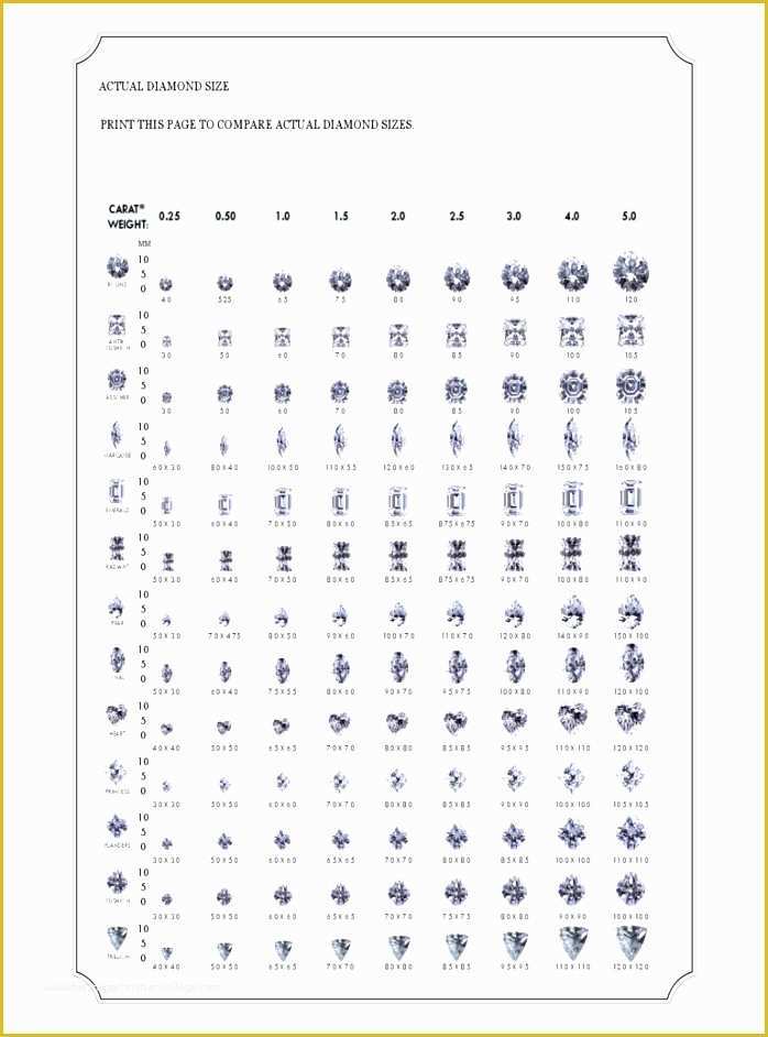 Free Size Chart Template Of 12 Bud Template Excel Free Download Exceltemplates