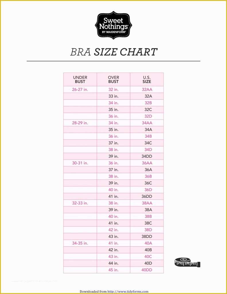 Free Size Chart Template Of 15 Free Size Chart Templates Docx Pdf Ms Word