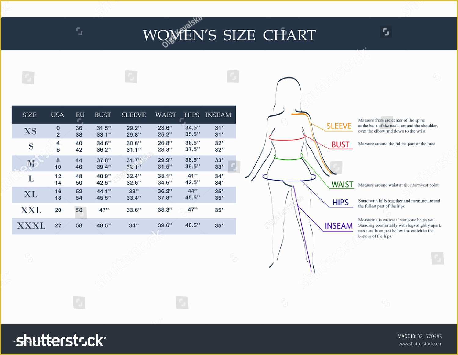 Free Size Chart Template Of Size Chart Women Measurements Clothing Female Stock Vector