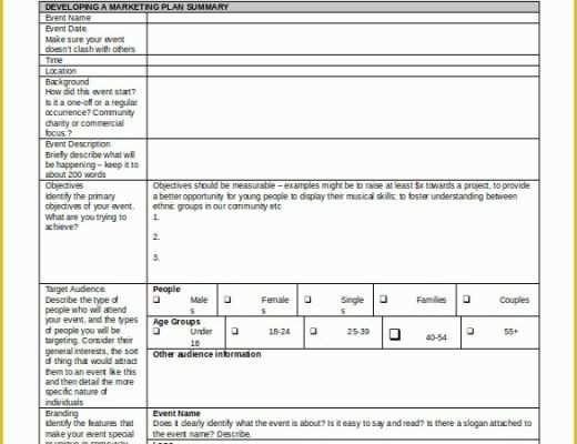 Free Strategic Plan Template for Nonprofits Of Strategic Plan Template Word