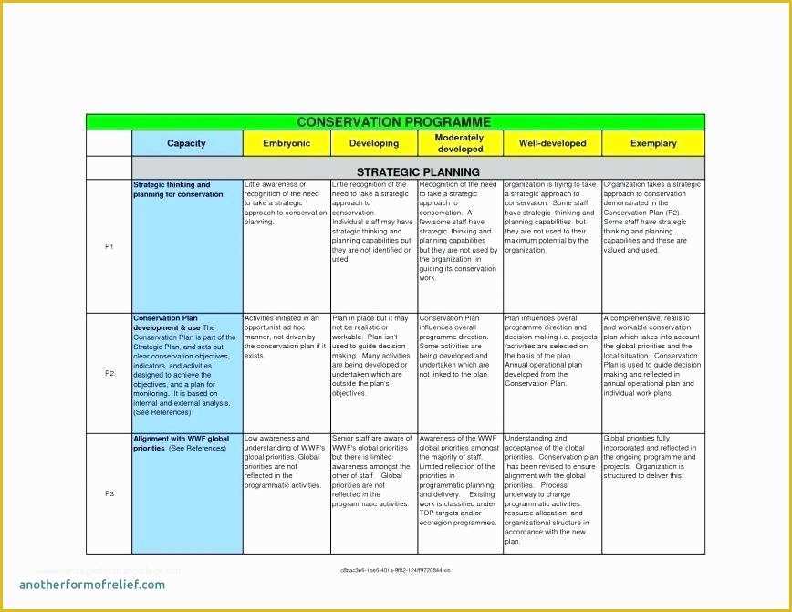 Free Strategic Plan Template for Nonprofits Of Strategic Planning Nonprofit Template Free Non Profit Plan