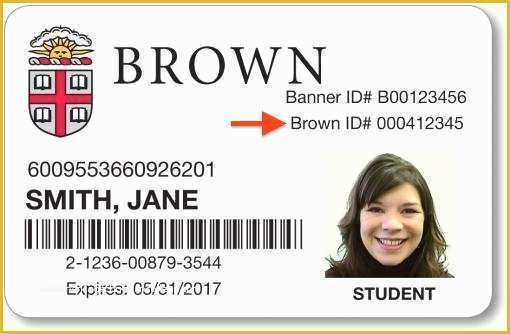 Free Student Id Card Template Of Find Your Brown Id Number Knowledgebase Accounts and