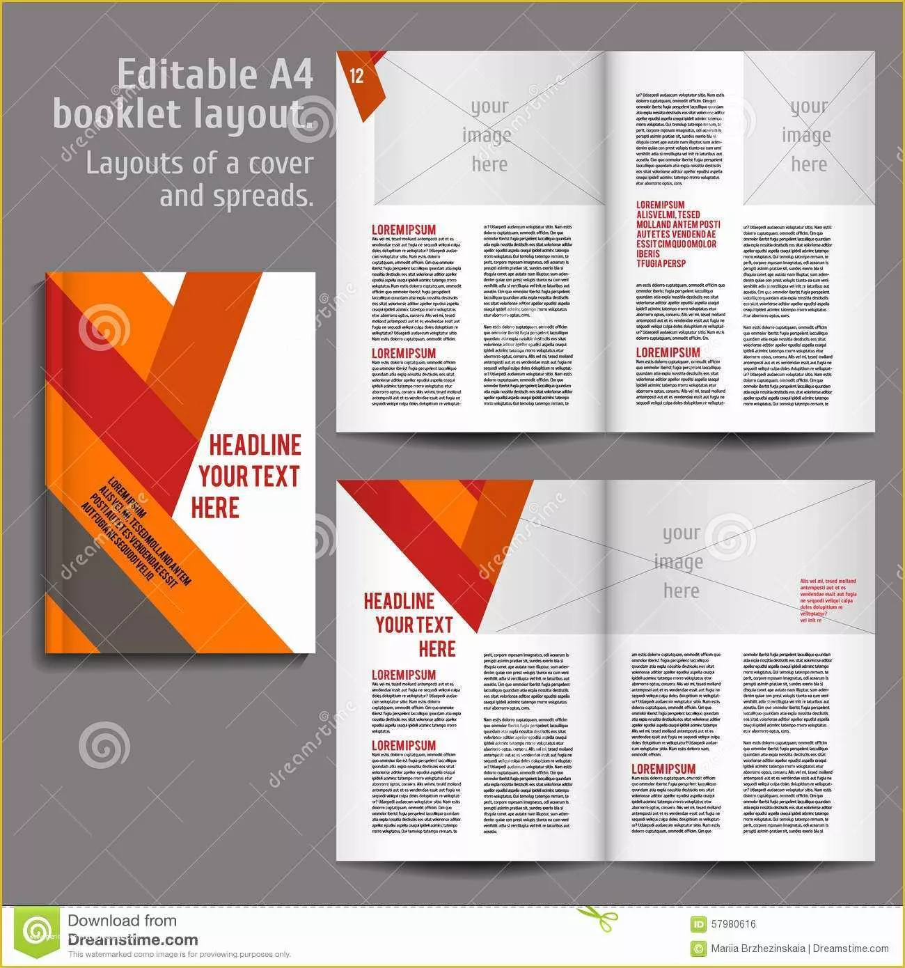 Free Template for Program Booklet Of A4 Book Layout Design Template Stock Vector Illustration