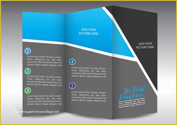 Free Templates for Flyers and Brochures Of 16 Free Graphics for Brochures Free Vector