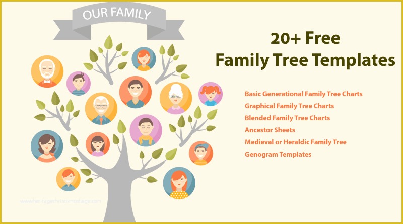 Free Tree Map Templates Of 20 Family Tree Templates & Chart Layouts