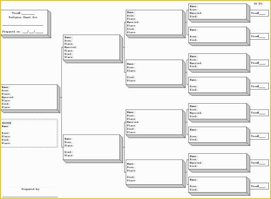 Free Tree Map Templates Of 8 Best Of Free Blank Pedigree Chart Templates