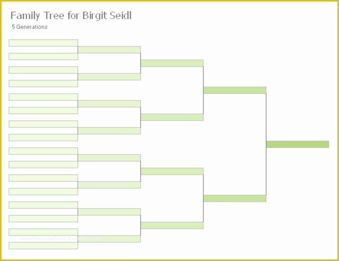 Free Tree Map Templates Of Family Tree Chart