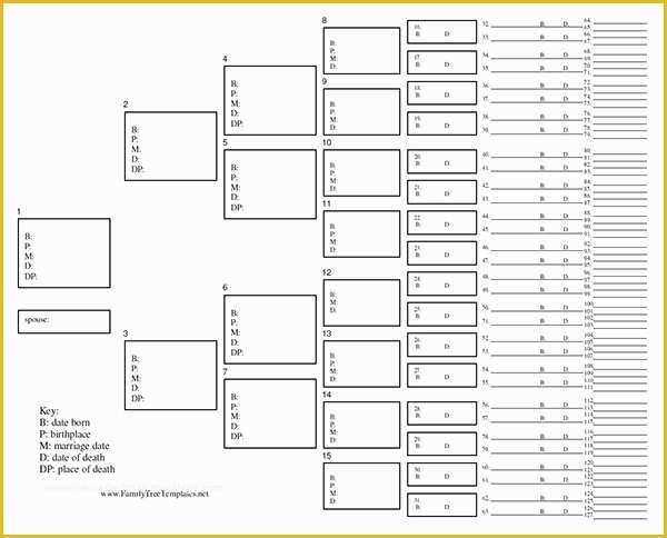 Free Tree Map Templates Of Family Tree Chart Template Beepmunk