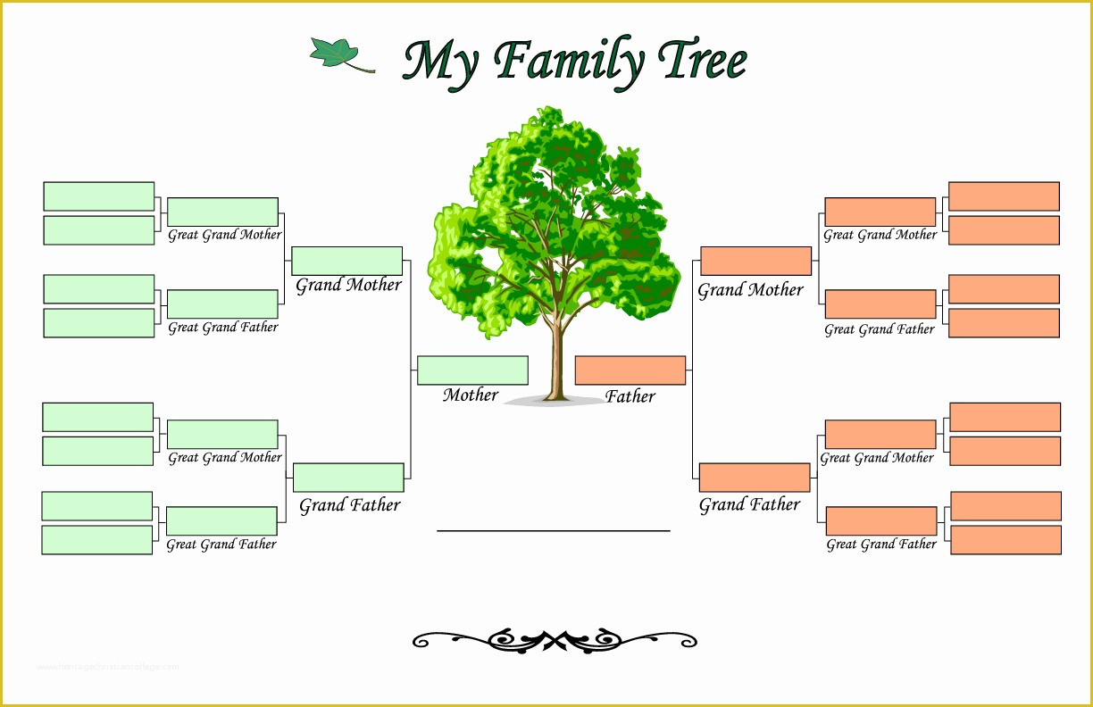 Free Tree Map Templates Of Family Tree Template Line Templates Data
