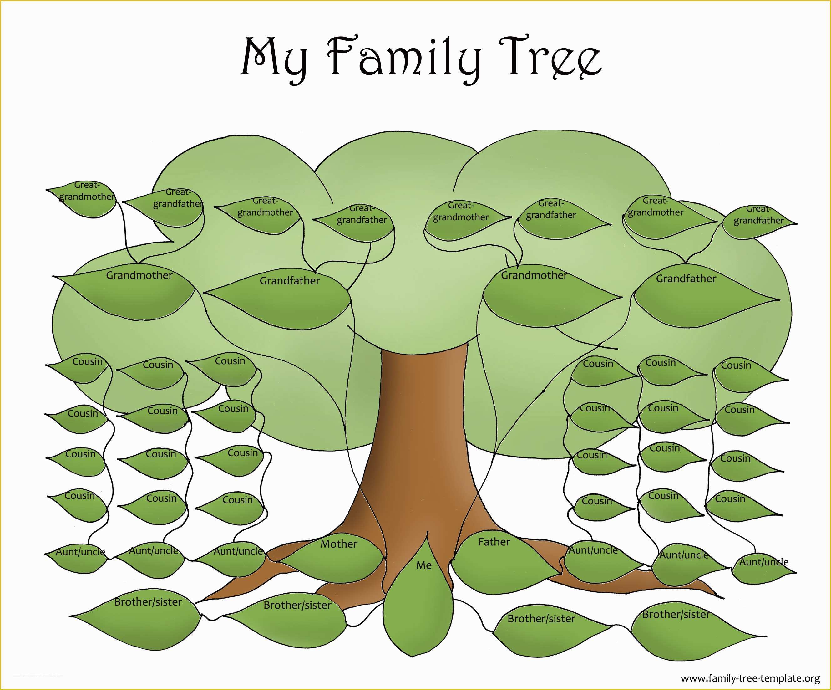 Free Tree Map Templates Of Family Tree Template Resources