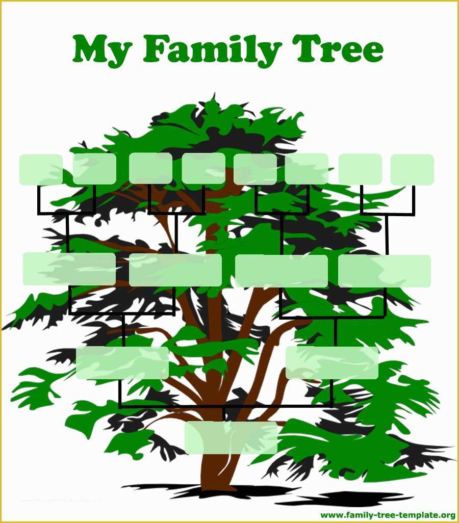 Free Tree Map Templates Of Family Tree Template Resources