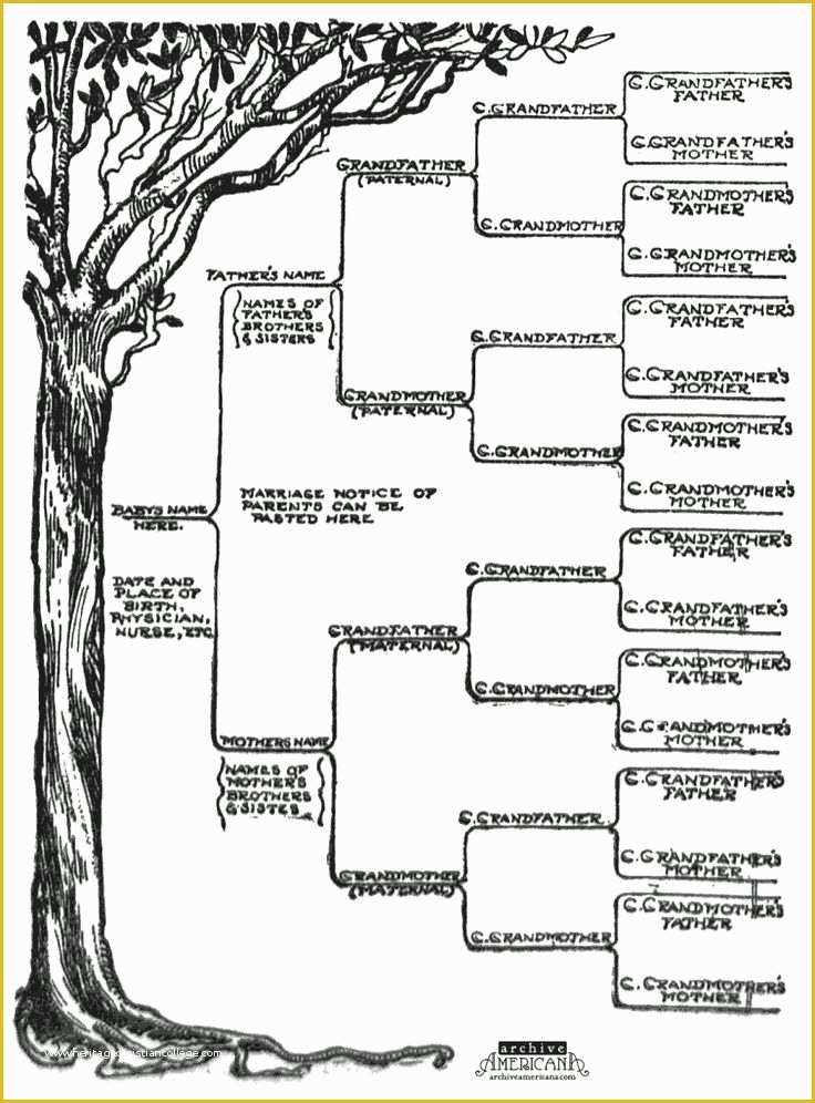 free-tree-map-templates-of-family-tree-template-word