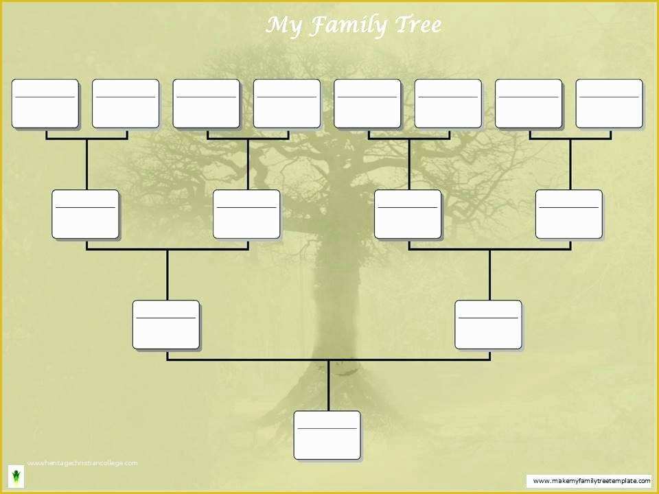 Free Tree Map Templates Of Free Editable Family Tree Charts – Medschoolsfo