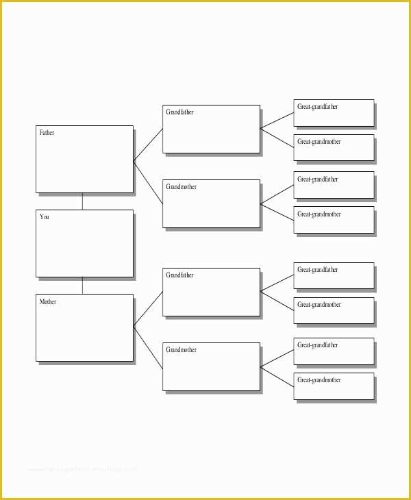 Free Tree Map Templates Of Tree Map Template 6 Free Pdf Documents Download